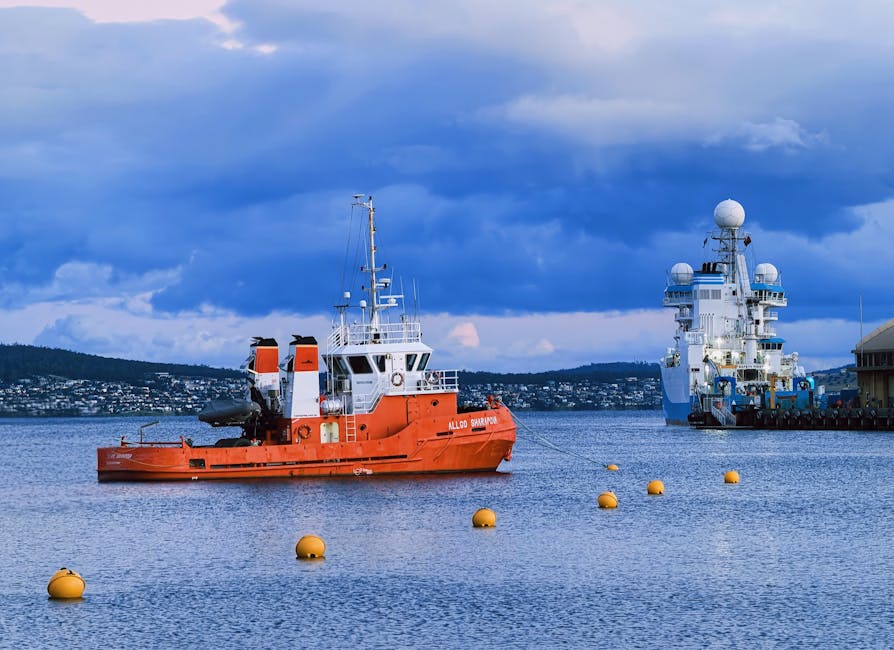 cruise tips for first timers