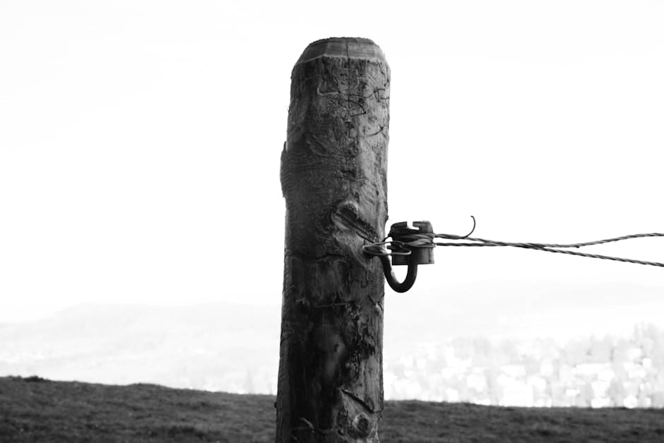 simple st patrick's day nails