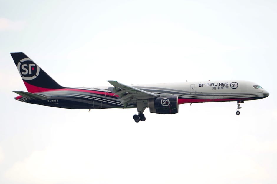 sf st patrick's day parade