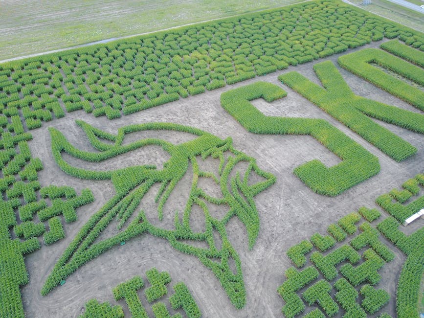 The Viking Age History; Facts About The Viking Age; The Viking Age Significance 2 The Viking Age history; facts about The Viking Age; The Viking Age significance