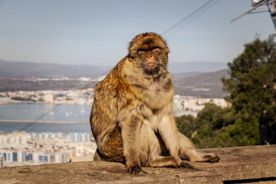 Albania Guide; Visit Albania 2026; Albania Tips 7 Albania guide; visit Albania 2026; Albania tips