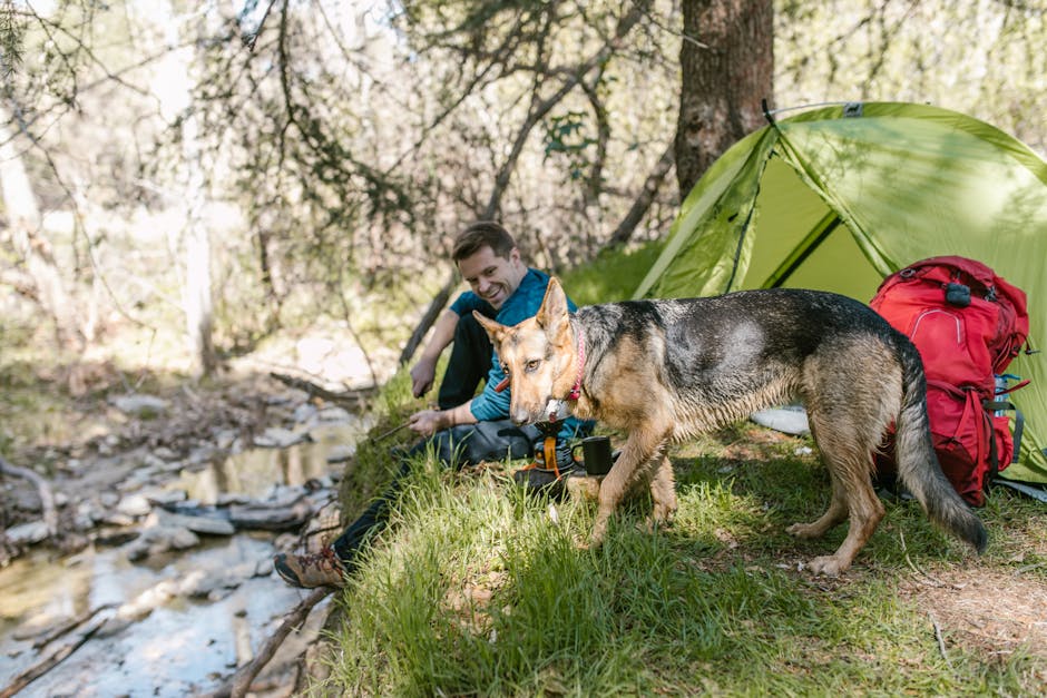 spring camping tips